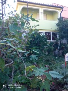 Apartments Vesna - Ribarica - 9