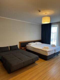 ORBI Palace Deluxe Bakuriani - Bakuriani - 2
