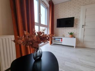 Apartament Rudy Zakątek w Centrum Bydgoszczy - Bydgoszcz - 0
