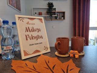 Apartament Rudy Zakątek w Centrum Bydgoszczy - Bydgoszcz - 7