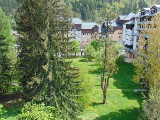 Chamonix - 2 Pièces avec parking et animaux admis - FR-1-517-18 - Chamonix-Mont-Blanc - 7
