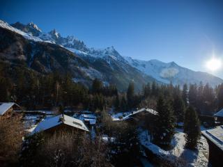 Studio à Chamonix avec Parking et Animaux Admis - FR-1-517-35 - Chamonix - 8