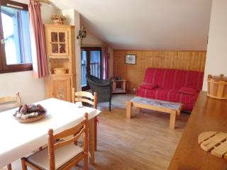 Bel appartement rénové avec vue sur le Mont-Blanc, parking couvert, animaux admis - FR-1-517-51 - Chamonix - 4