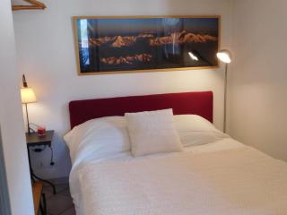 Charmant 2 pièces au centre avec terrasse et garage à Chamonix - FR-1-517-41 - Chamonix - 2