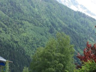 Studio cosy avec parking et animaux admis, proche centre Chamonix - FR-1-517-21 - Chamonix - 1