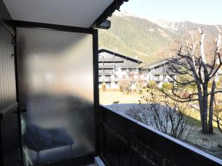 Charmant studio proche télécabine avec parking et wifi à Chamonix - FR-1-517-59 - Chamonix - 3