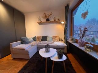 Brauni City Apartment - Braunlage - 9