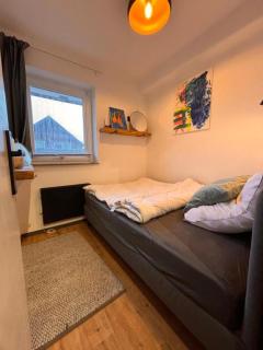 Brauni City Apartment - 3