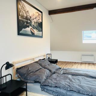 City Loft Apartment Bad Säckingen - Bad Säckingen - 5