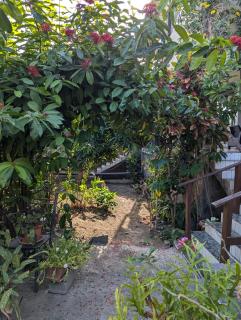 Le Zalifat, jardin tranquille - proche aéroport - Pamandzi - 2