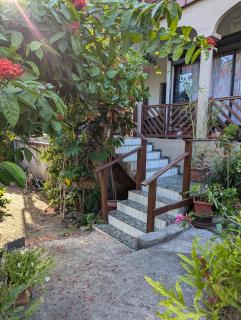 Le Zalifat, jardin tranquille - proche aéroport - Pamandzi - 6