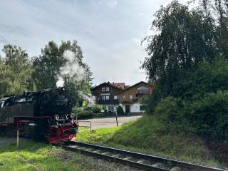 Pension Raststüb'l - Sorge - 8
