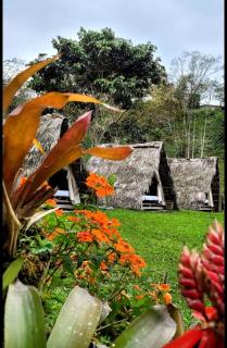Rancho Porvenir - Mocoa - 0