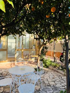 Fil Rouge - Ciampino - 9