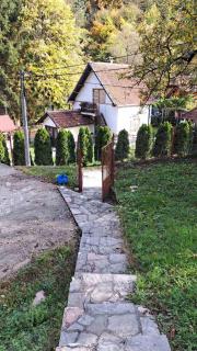 Vila Raj - Gornja Toplica - 0