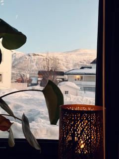 Premium Studio by Arctic Seasons - 4