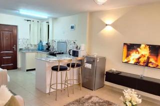 Immaculate 1-Bed Apartment in Nairobi - 3