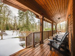 Iron Mountain - Spacious Secluded Lodge with Hot Tub & Game Room - 3