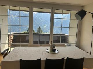 A lovely two bedrooms flat - Braunwald - 1