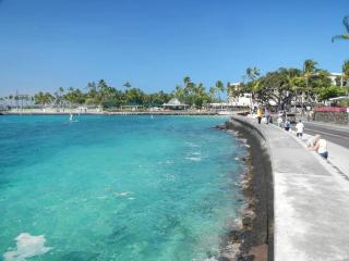 Kona Mansion C-208 - 1