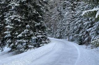 Eagles Nest - Coeur d'Alene - 2
