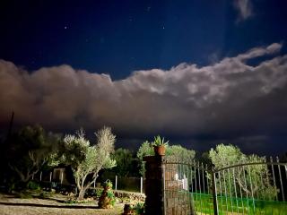 Trulli delle succulente - 6