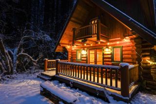 Forest Embrace - Glacier - 2