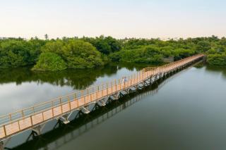 Dreams Royal Beach Punta Cana - All Inclusive - Punta Cana - 1