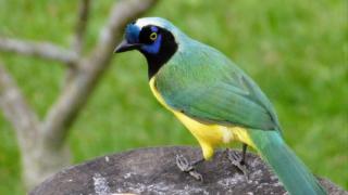 Finca la soñada - 6