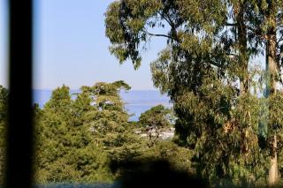 Romantic Carmel Cottage Ocean Country Views - 1