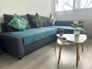 Appartement Le Classik' PARKING PRIVÉ - Mâcon - 8
