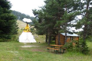 Tipi NCO - 4