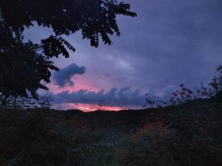 Casa Pajaros - Skyview - Cruz de Huanacaxtle - 7