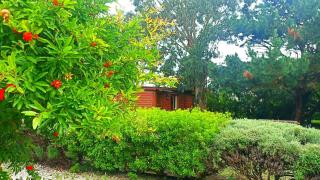 La Lucinda - Campo y mar - 9