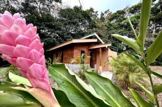 Rain Forest Cabin with trails and river - Fortuna - 4