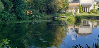 Gite du parc - Mer - 9