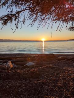 Cozy Beachfront Cabin at Woodside Farm - 8