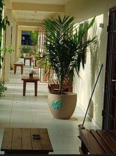 Jahan Apartment - Flora - 8