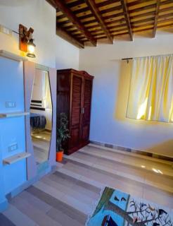 AMFIBIAN Guesthouse - Dahab - 6
