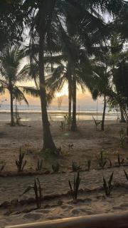 DANG dang Balbago Beach - El Nido - 7