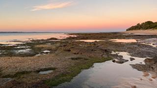 SeaSong in Ventnor - 1