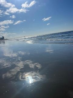 The Arbor - Spacious condo near the Ocean - 9