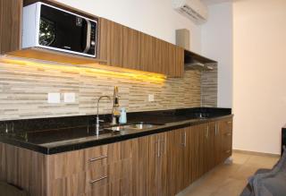 Palalma Apt 2BR - By Next Level B - Tulum - 3
