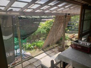 Full House-貸切-電車成田空港30分 - 1