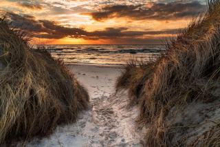 Ostseezauber - Zingst - 2