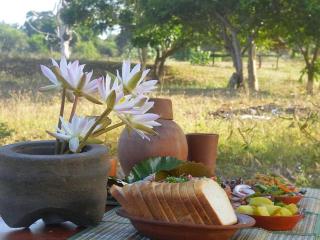 Vanaro villa - Tissamaharama - 6