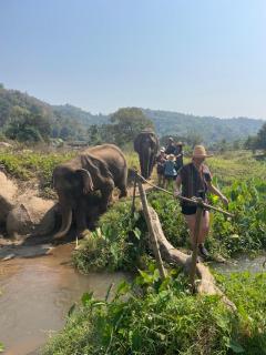 DoiLom Elephant Farmstay - Ban Mae Ta Man (1) - 9