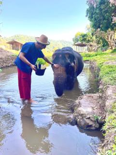 DoiLom Elephant Farmstay - Ban Mae Ta Man (1) - 3