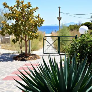 Villa Siesta gr - PalaiónTsiflíkion - 6