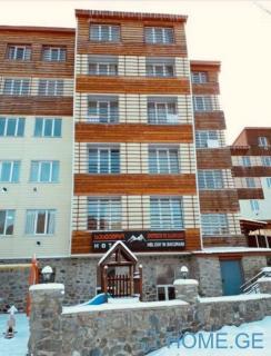 Holiday Inn Bakuriani - 9